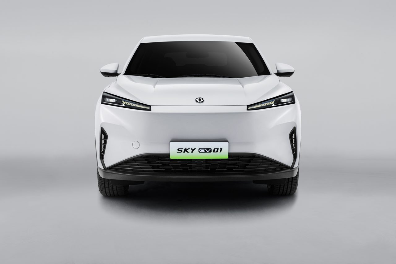 DONGFENG Mage — vista 10