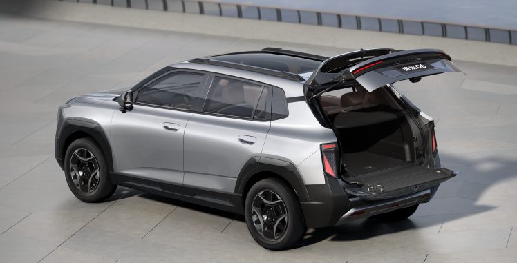 DONGFENG Vigo — vista 11