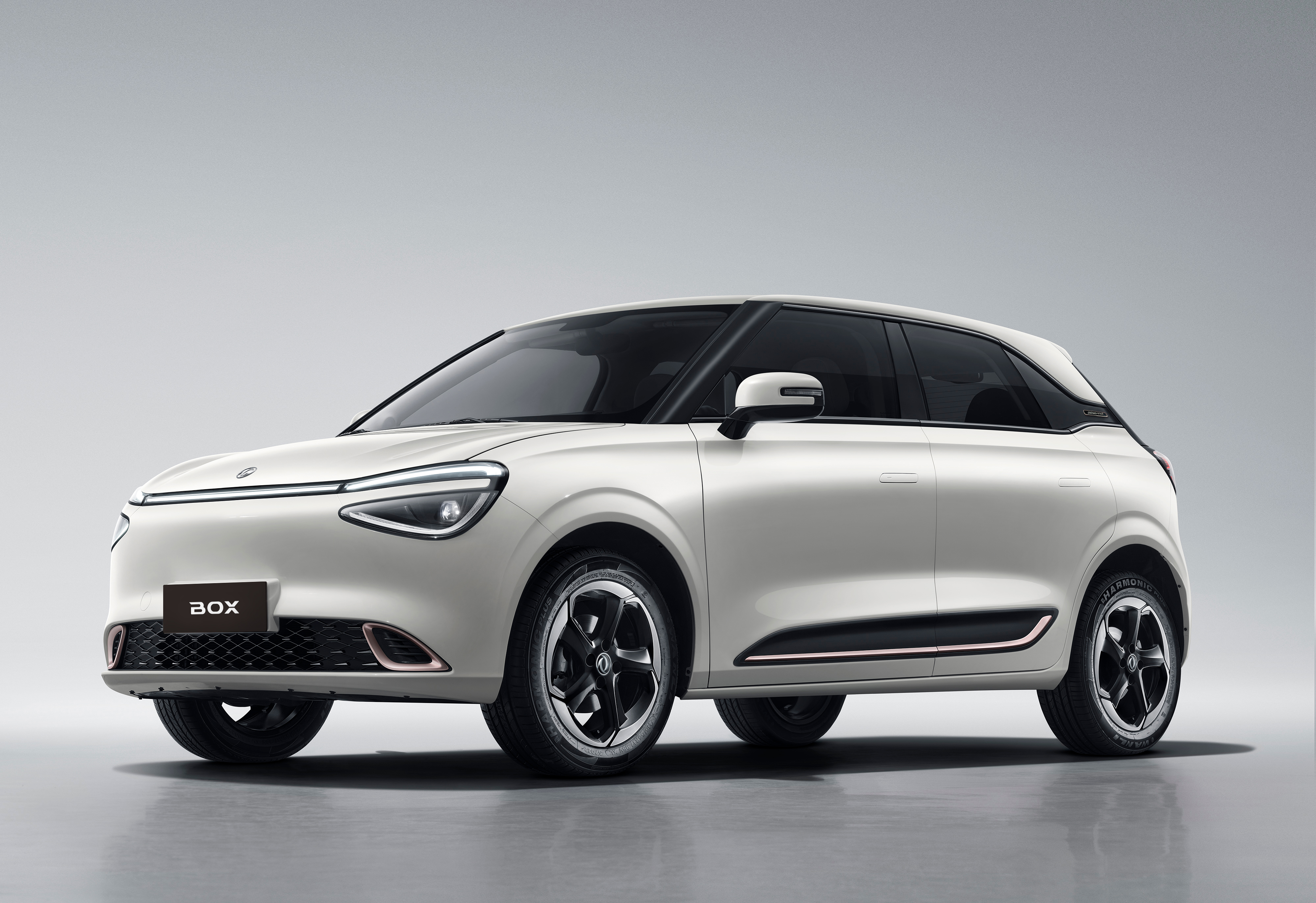 DONGFENG NAMMI