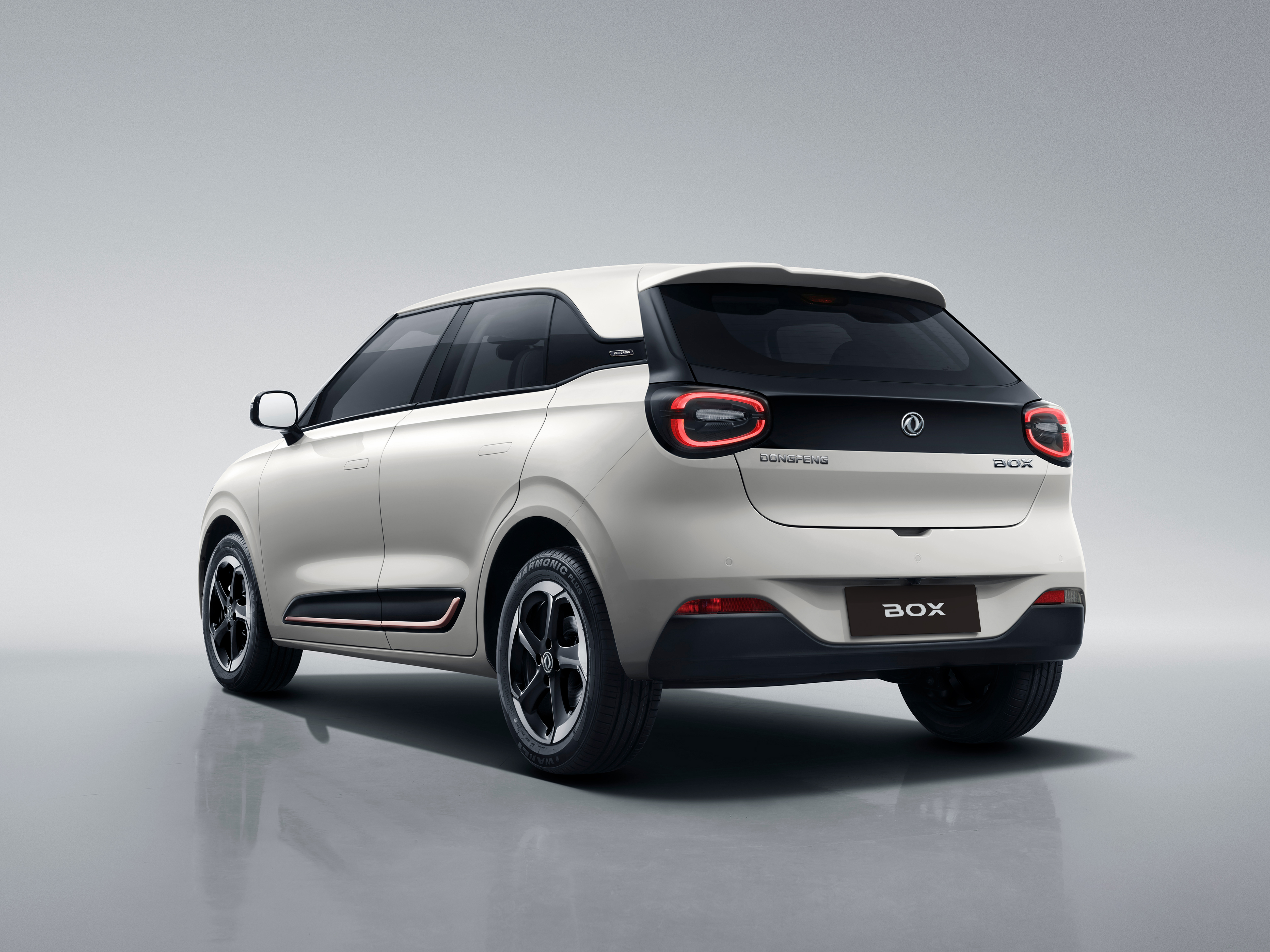 DONGFENG NAMMI — vista 2